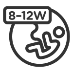 Pregnant 0812w SVG Icon
